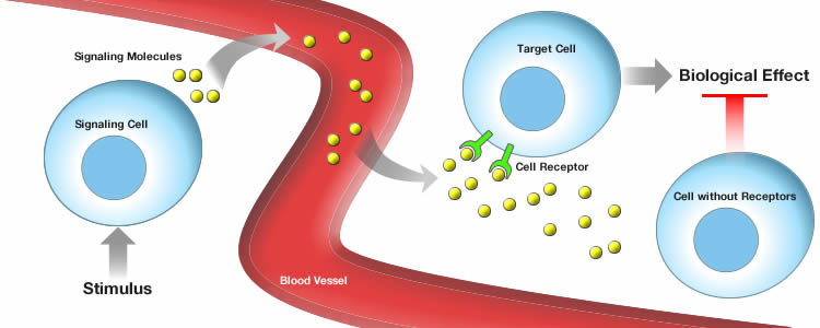 altered cell signaling